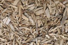 biomass boilers Curborough